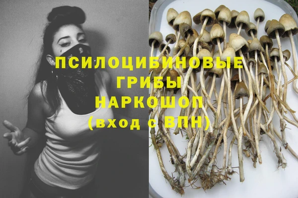 круглые Белокуриха